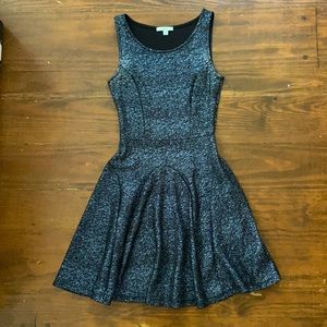 Sparkly Skater Dress